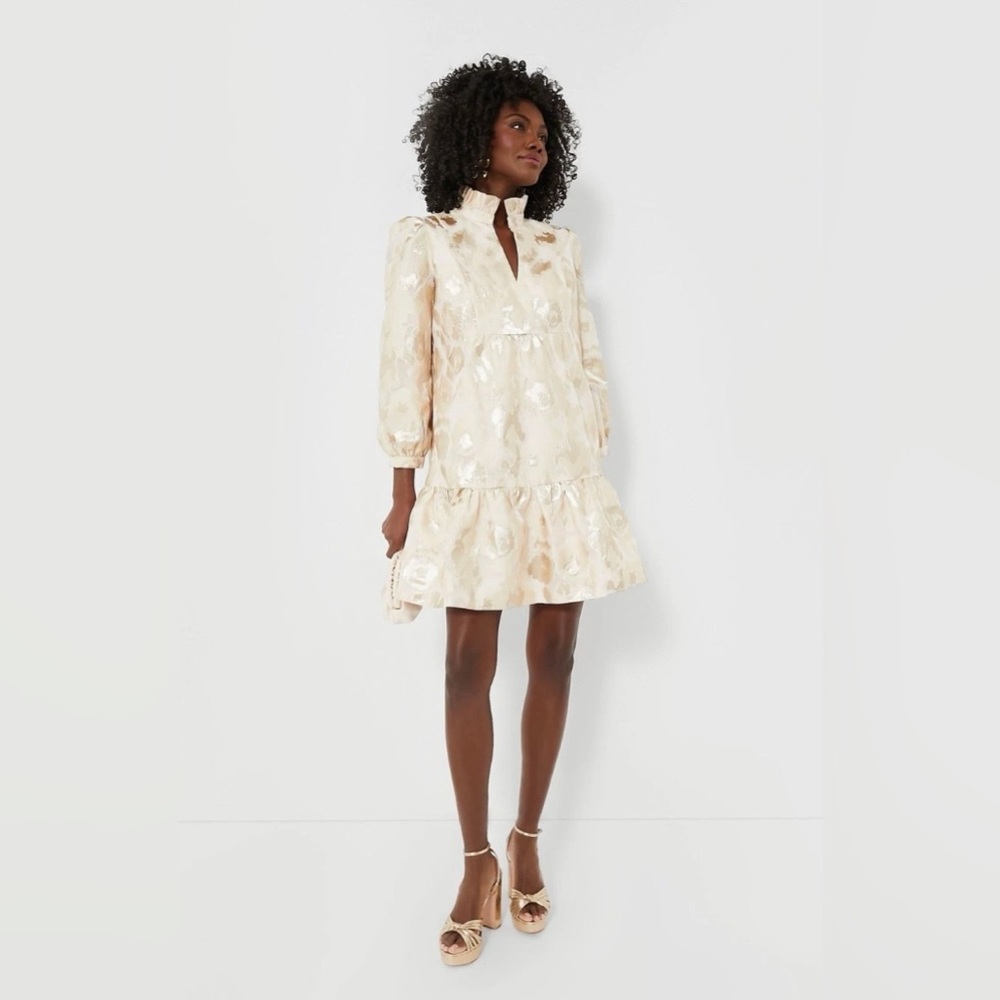 TUCKERNUCK Champagne Fil Coupe Palmerston Dress NWT Size XL